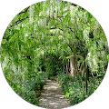 Mary McCabe Avatar